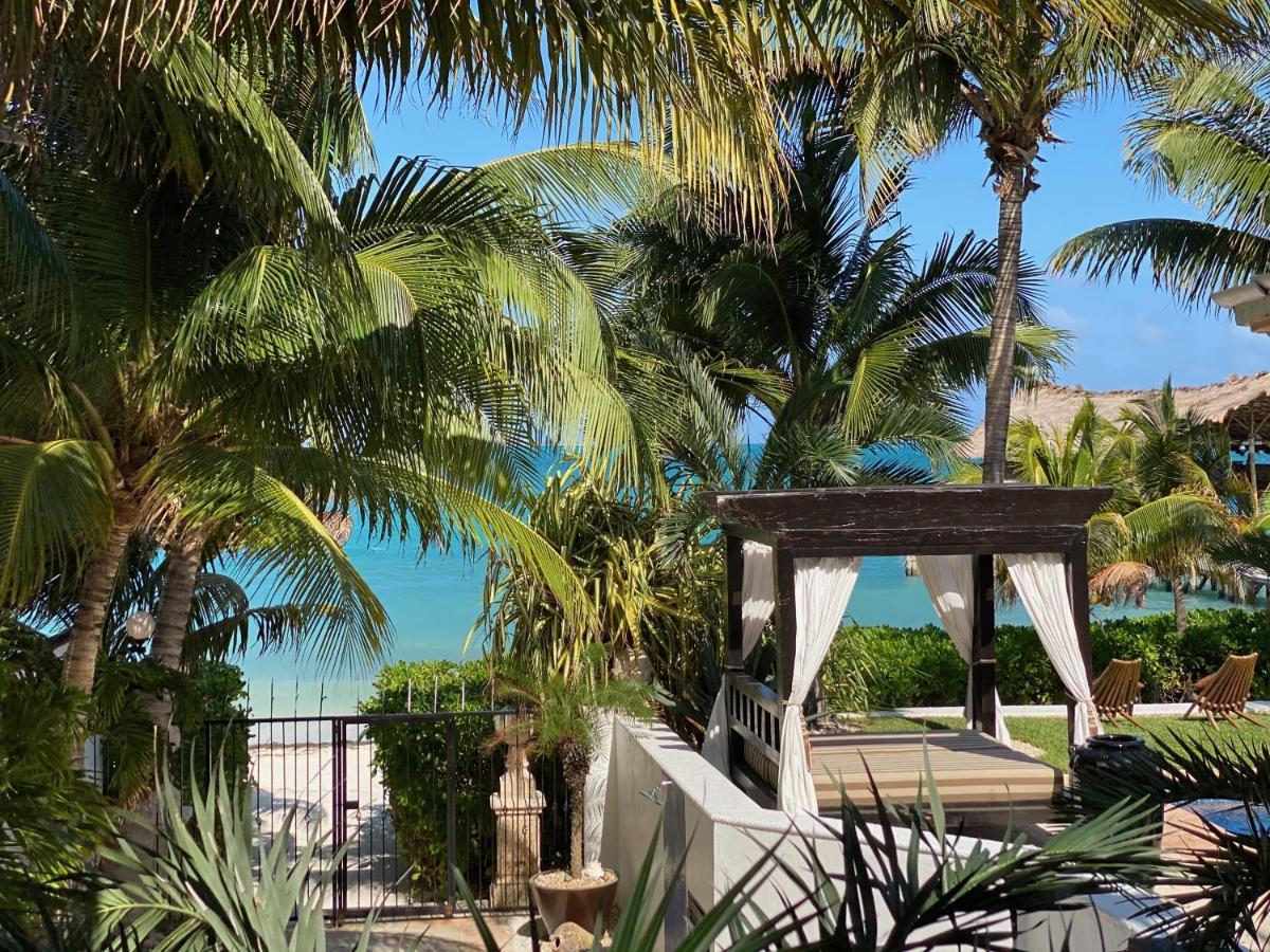 Albatros Cancún