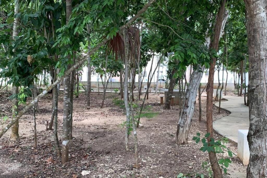 Residencial Con Seguridad Y áreas Recreativas. Сasa de vacaciones Cancún