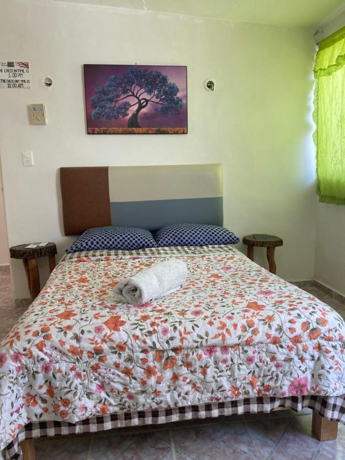 La Casa Del árbol * Cancún