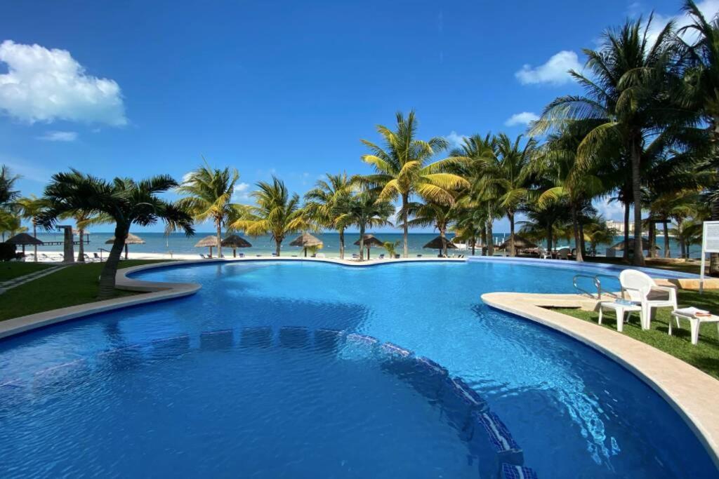 Oceanfront Bm By Andiani Cancun