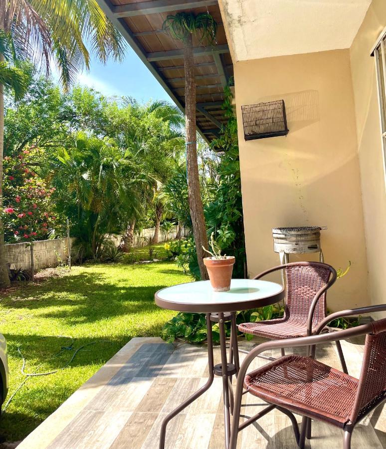 Apartamento Cómodo Y Departamento Cerca De La Zona Hotelera Y El Ferry A Isla Mujeres Cancún