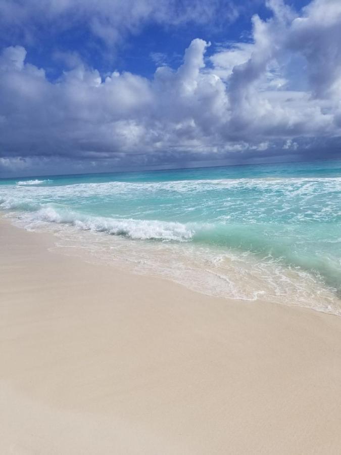 Amazing Caribbean Ocean View At Marlin In Apartment Cancun