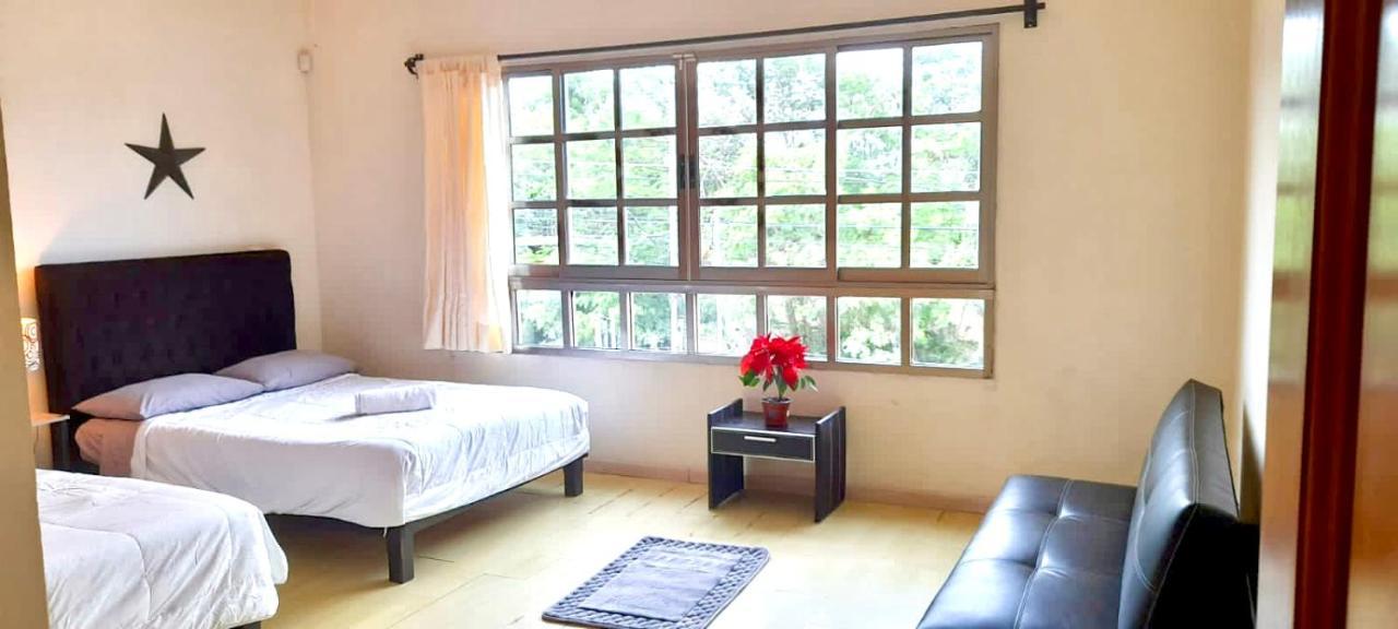 Homestay La Maison Bleue