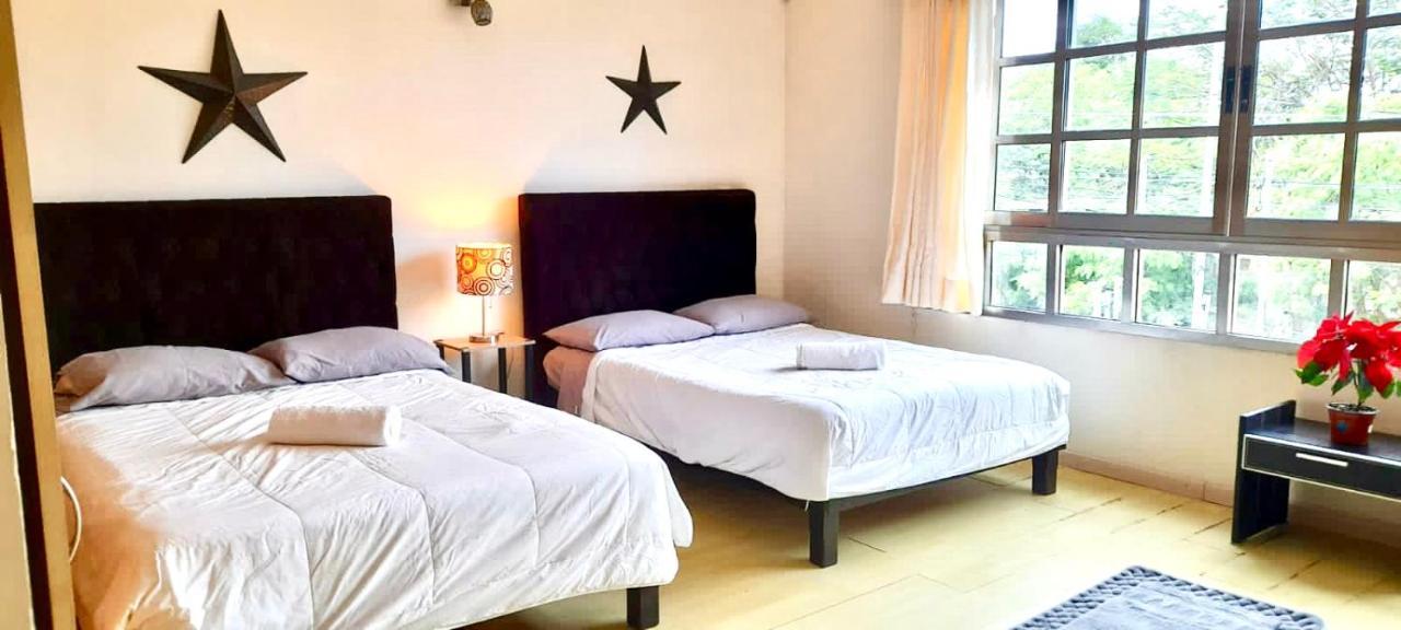 La Maison Bleue *