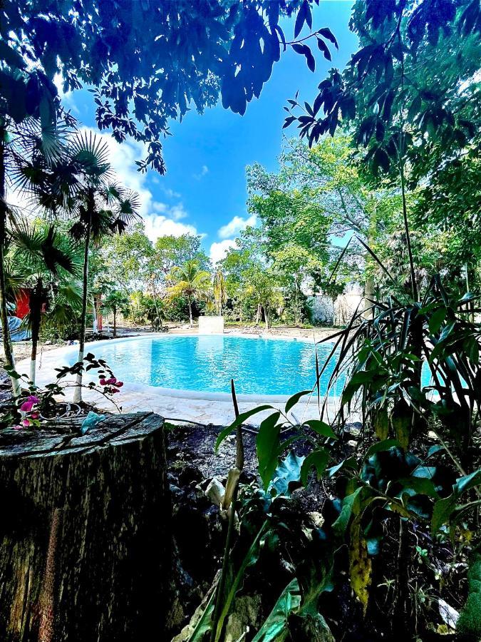 Hotel Tequila Cancun 4*