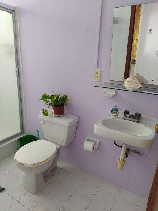 Apartamento Coral *