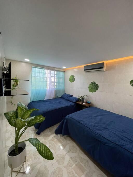 Apartment Departamento Pina / Mkt-mercado 28 / 3 Recamaras-rooms