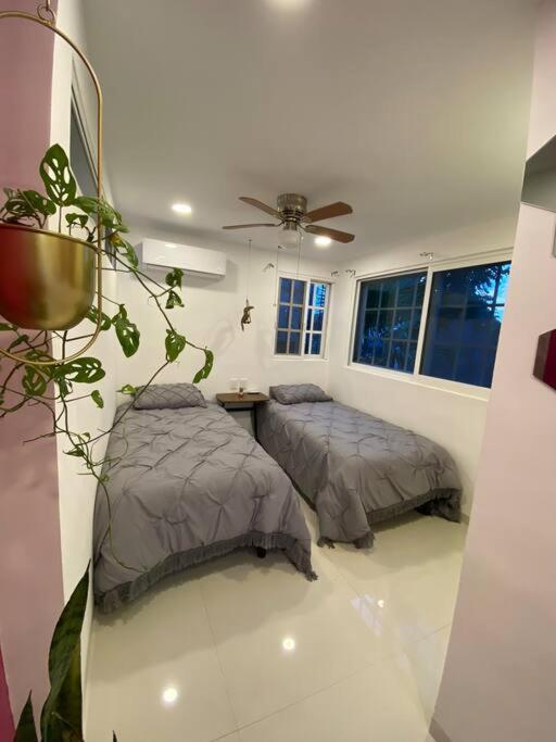 Apartment Departamento Pina / Mkt-mercado 28 / 3 Recamaras-rooms Cancun