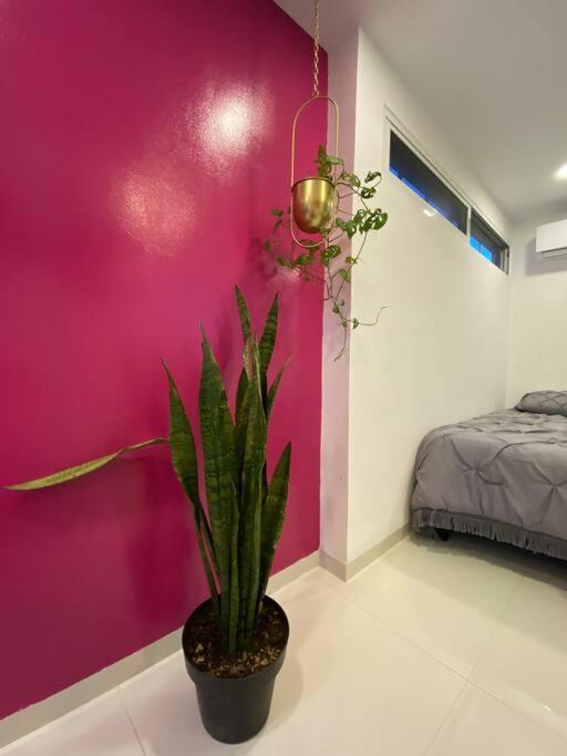 Departamento Pina / Mkt-mercado 28 / 3 Recamaras-rooms Apartment *