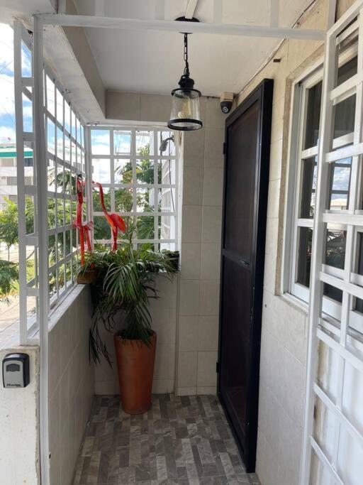 Departamento Pina / Mkt-mercado 28 / 3 Recamaras-rooms Apartment *