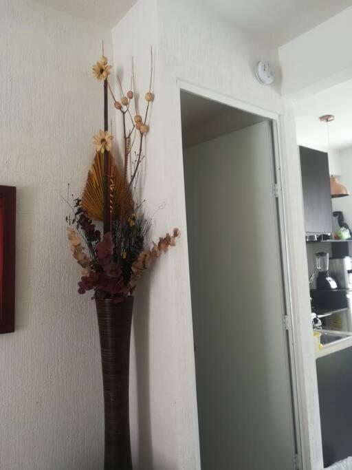Casa Niza Сasa de vacaciones Cancún