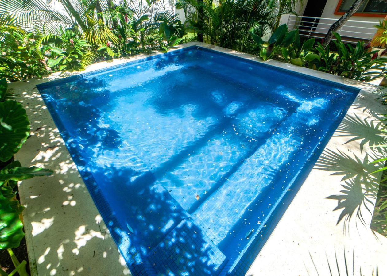 Airport With Pool And Security * Cancun