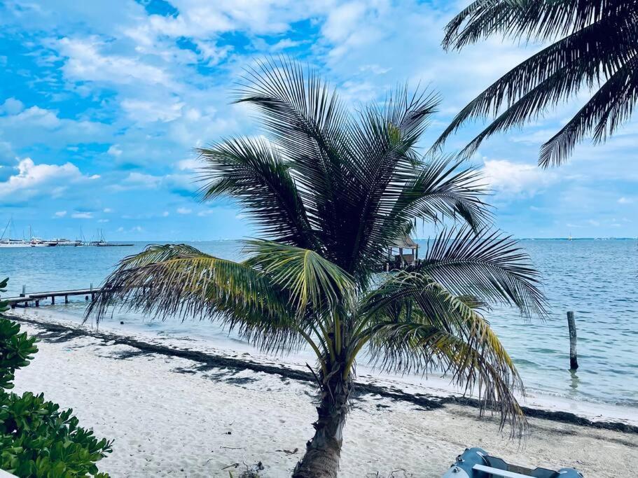 Apartamento Punta Me With Ocean View & Beach Front *