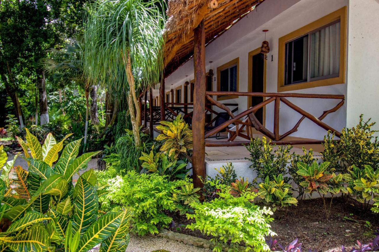 Hotel Tequila Cancun 4*