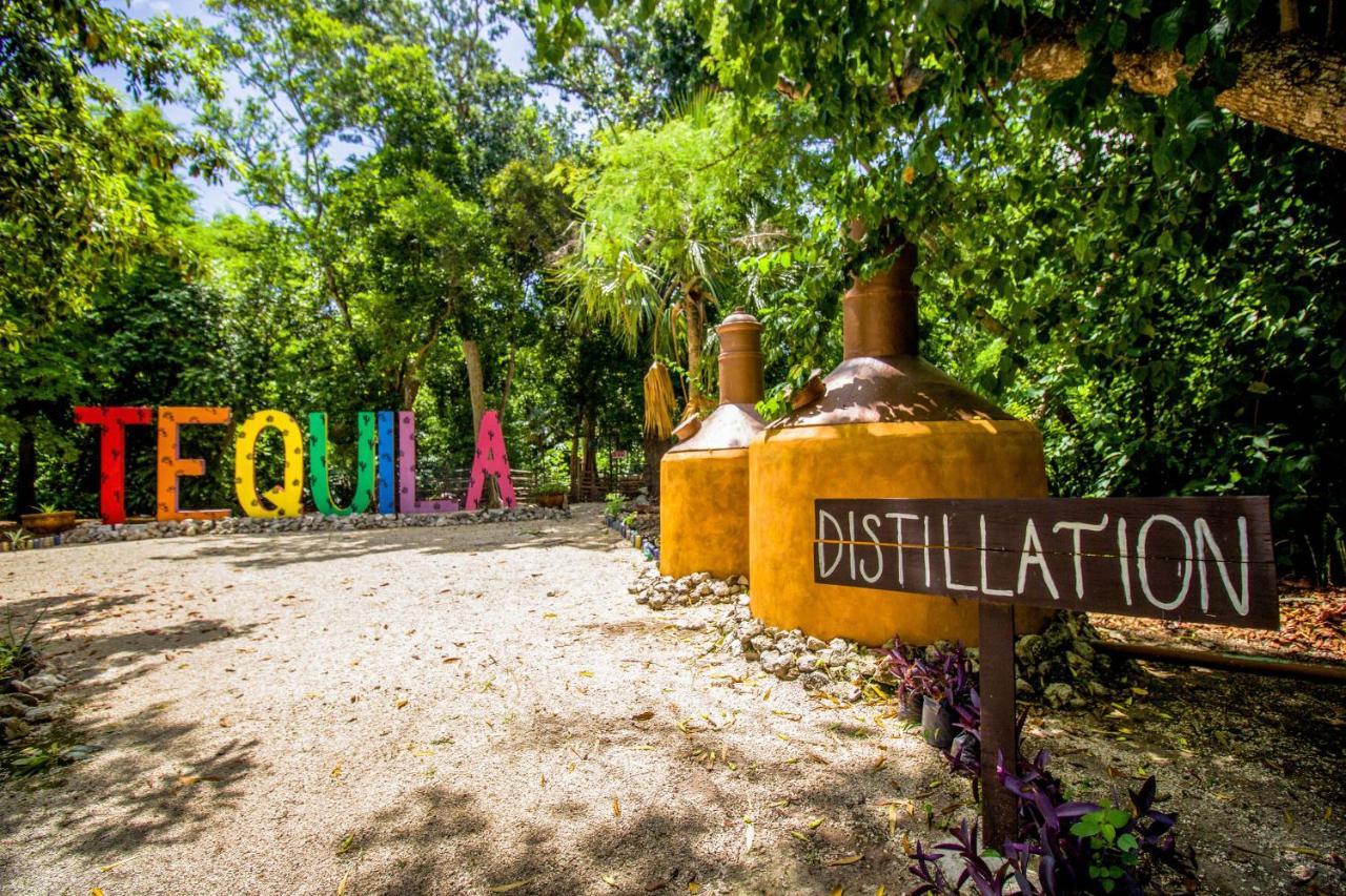 Tequila Cancun