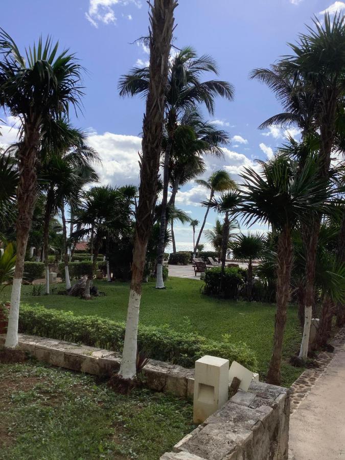 Beachaccess Hotelzone 3705 Cancun