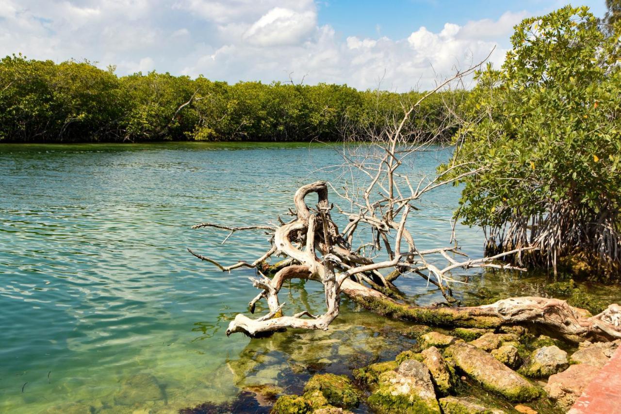 Aquamarina, Ideal Trabajo/vacaciones Apartamento Cancún