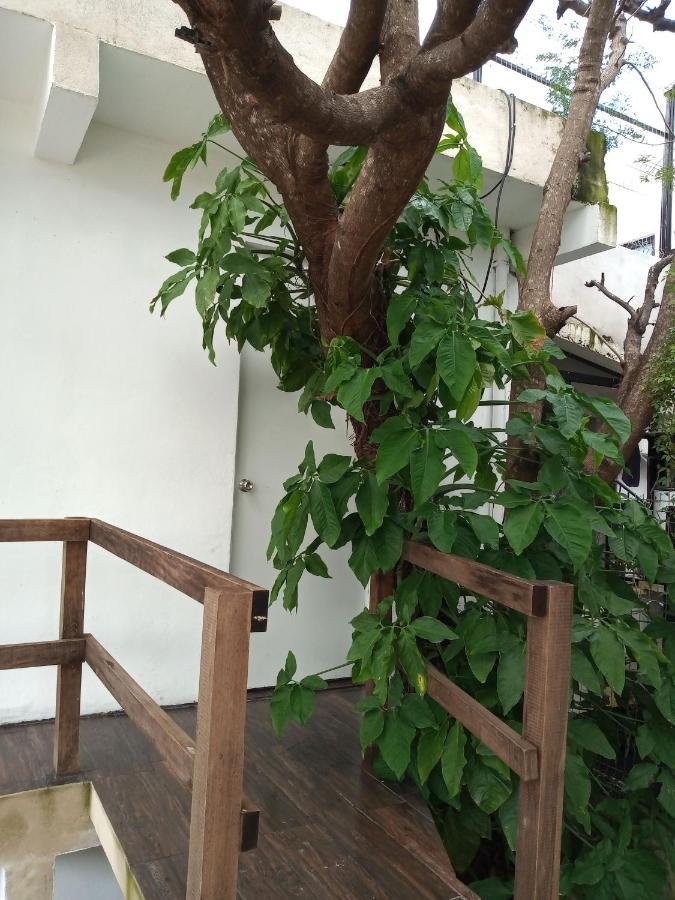 Apartamento Estudio Zona Centro Cerca De La Terminal Ado