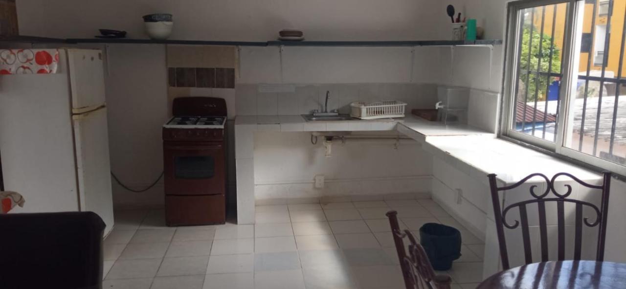 Balagan Departamento Frida