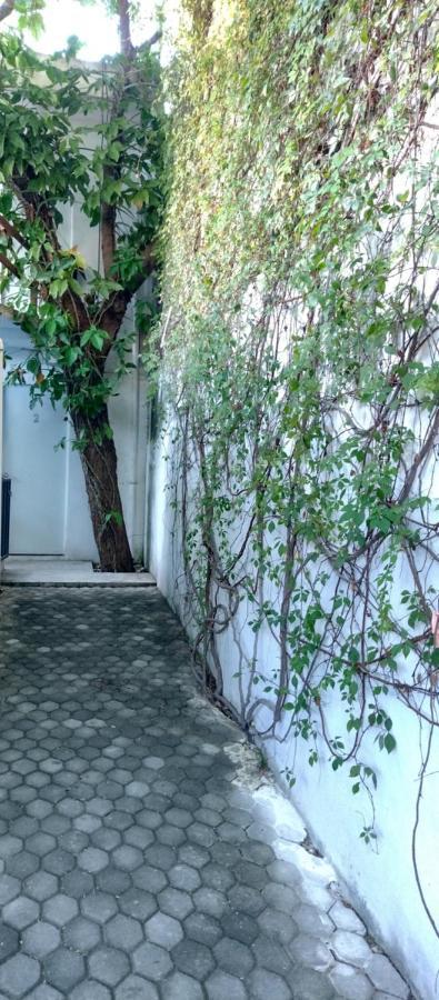 Estudio Zona Centro Cerca De La Terminal Ado * Cancún