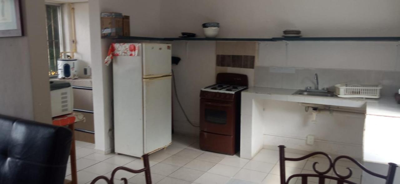 Balagan Departamento Frida