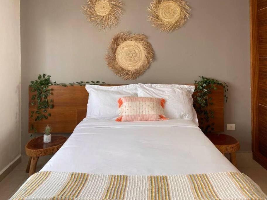 Altus Homes By Andiani Travel * Cancún