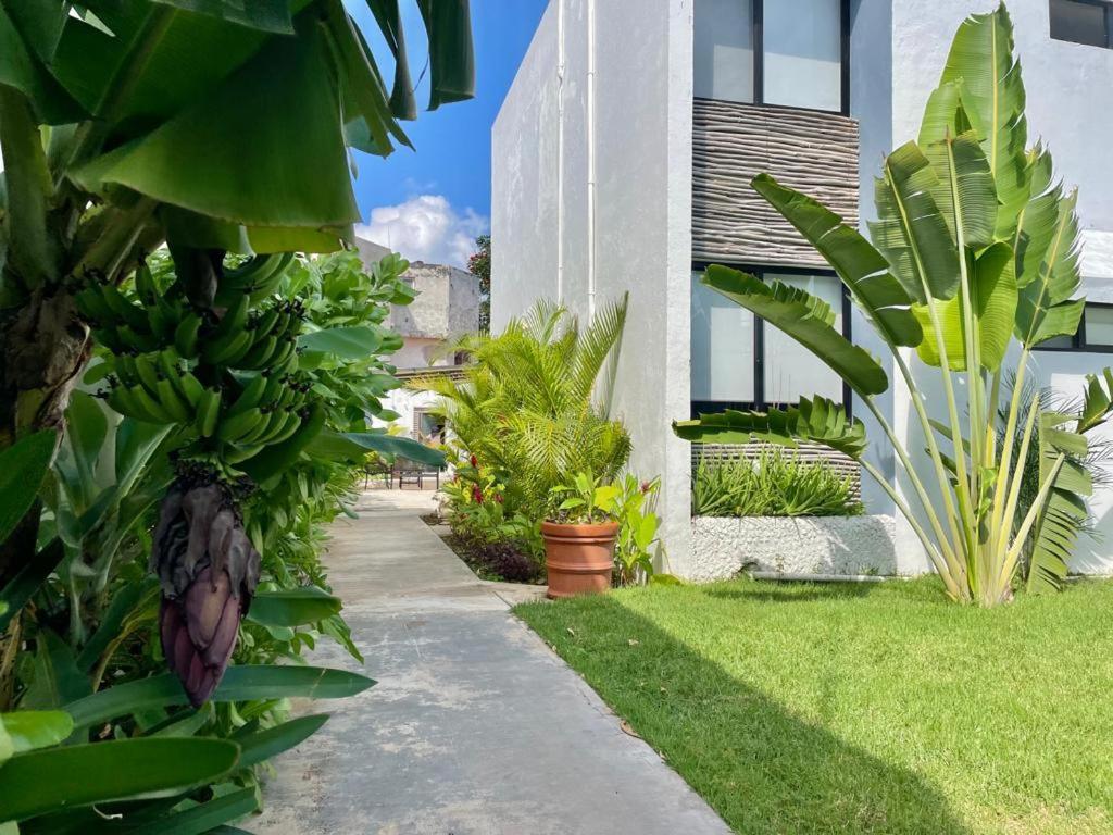 Aldeazul By Andiani Travel Apartment *