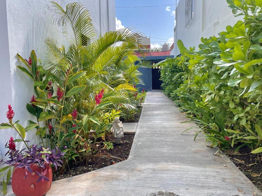Aldeazul By Andiani Travel Cancun