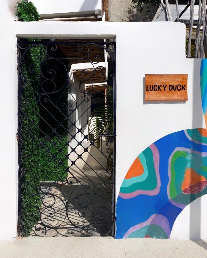 Lucky Duck Pj 3*
