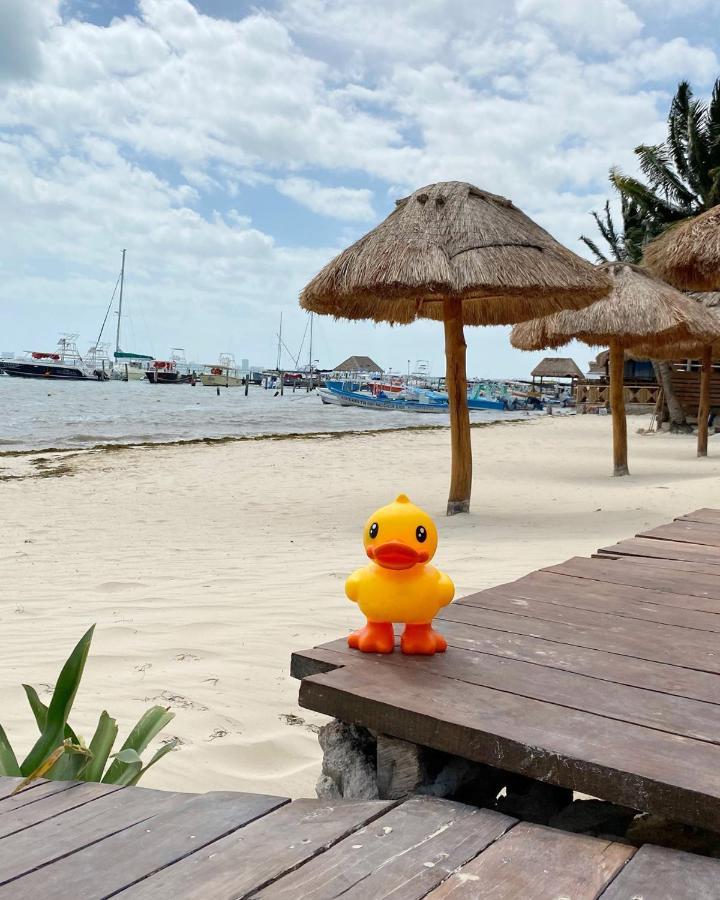 Lucky Duck Pj Hotel Cancun
