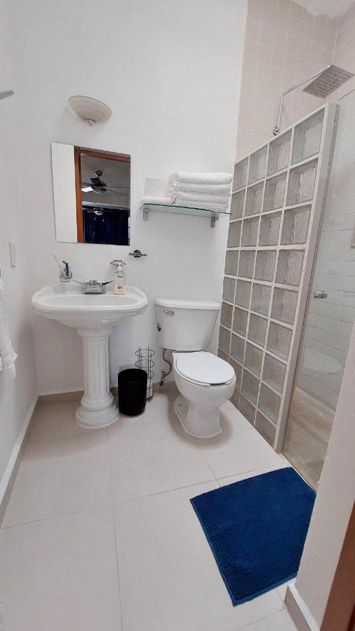 Privadas Y Centricas Con Alberca. Homestay