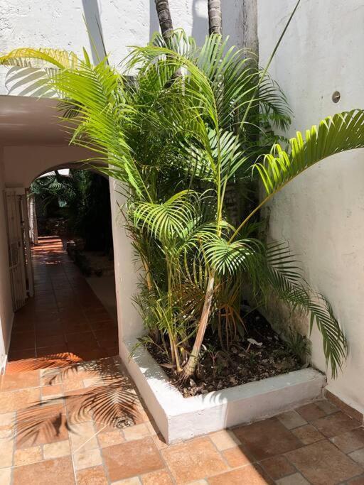 Apartamento Studio Pequeno En Cancún