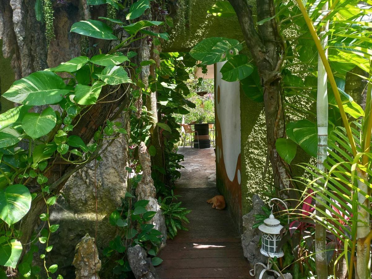 Quinta Vintage Pensión Cancún