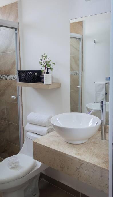 Departamento Moderno Con Vista A La Laguna En Dream Lagoons Apartamento