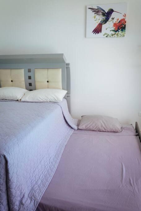 Apartamento Departamento Moderno Con Vista A La Laguna En Dream Lagoons