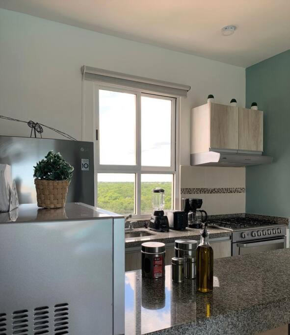 Departamento Moderno Con Vista A La Laguna En Dream Lagoons Apartamento *