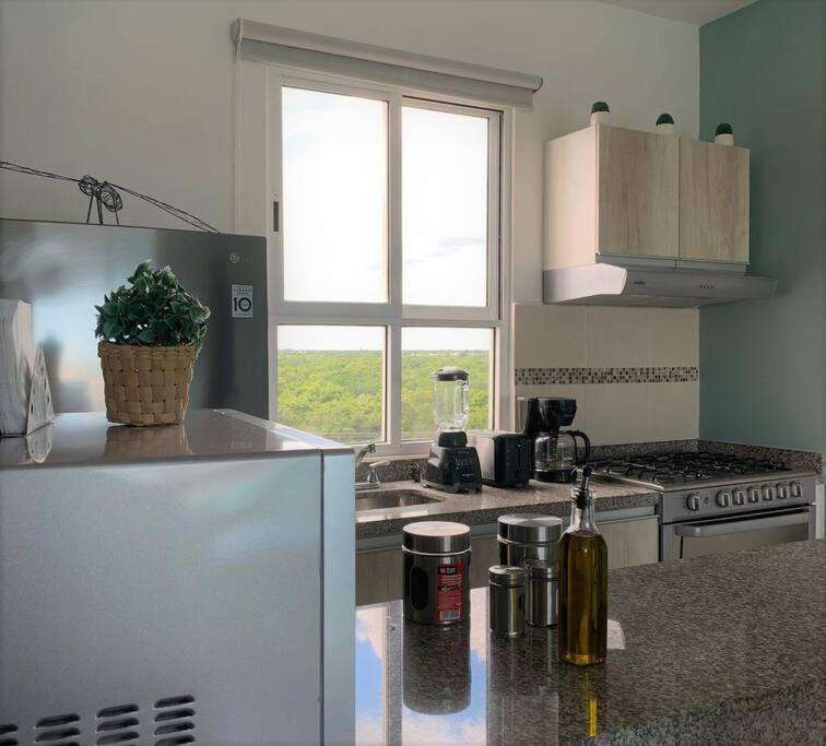 Apartamento Departamento Moderno Con Vista A La Laguna En Dream Lagoons