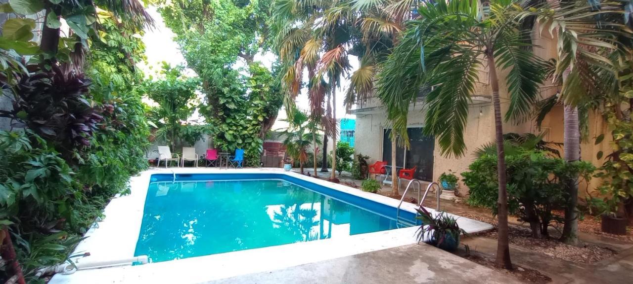 Apartamento Departamento Blue 2 Recamaras Céntrico En *