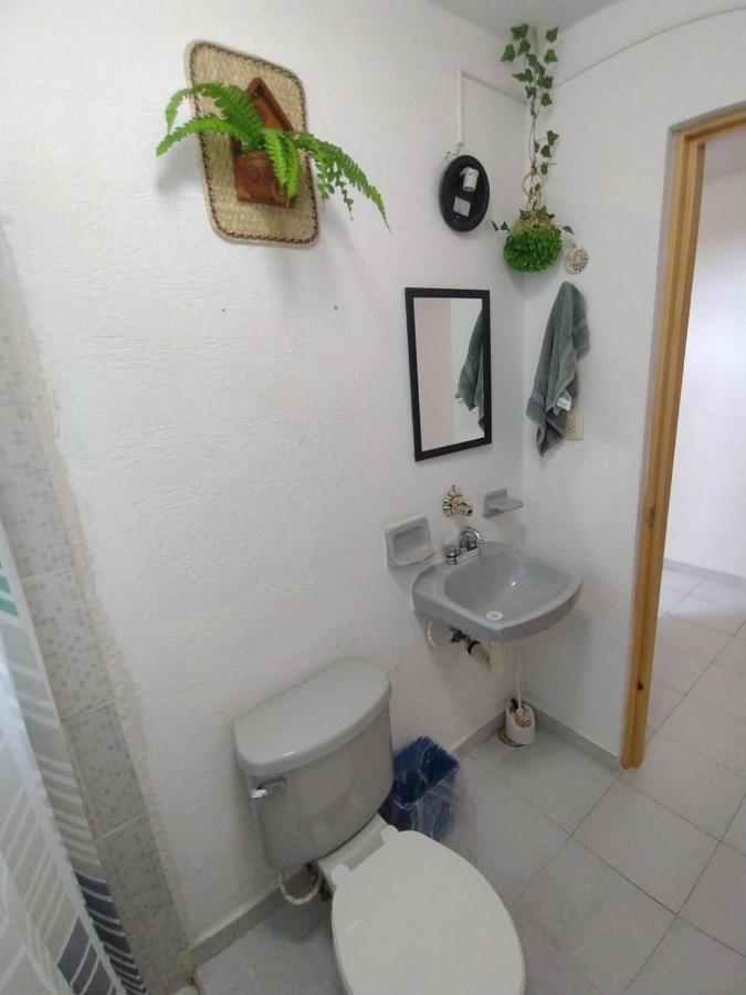 Mexico Arte Cancún
