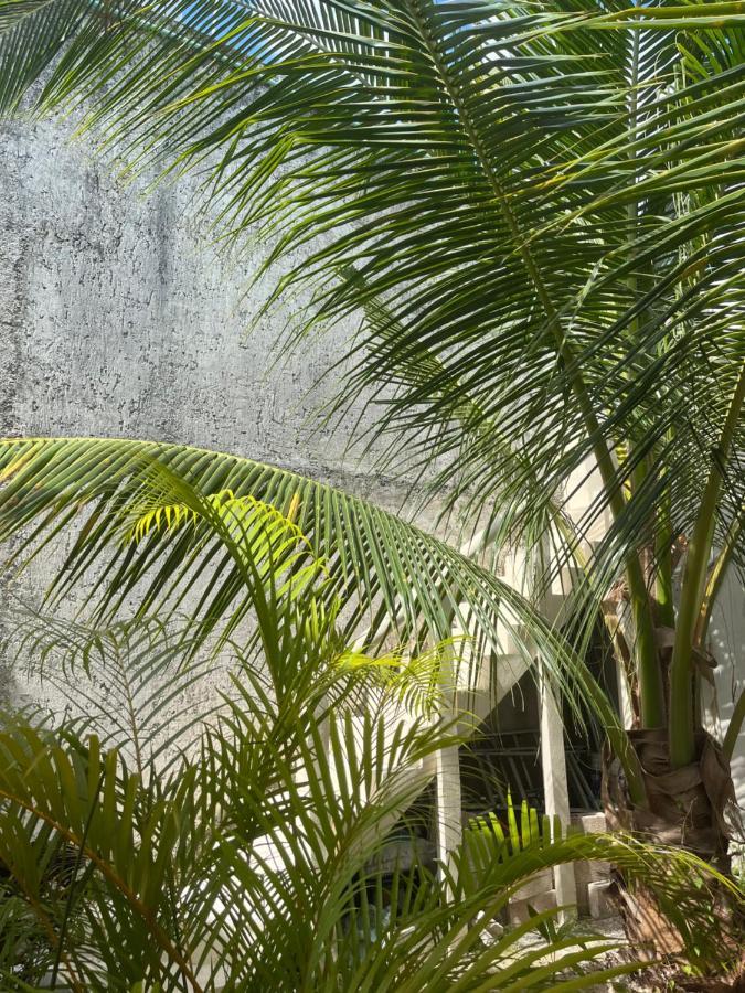Apartamento Bamboo Close To Ferry And The Beach *