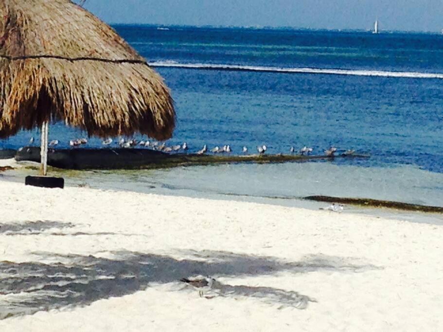 Apartamento Amazing Ocean Front. 418