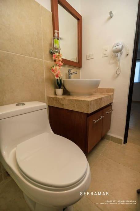 Apartamento Departamento Centrico Con Alberca
