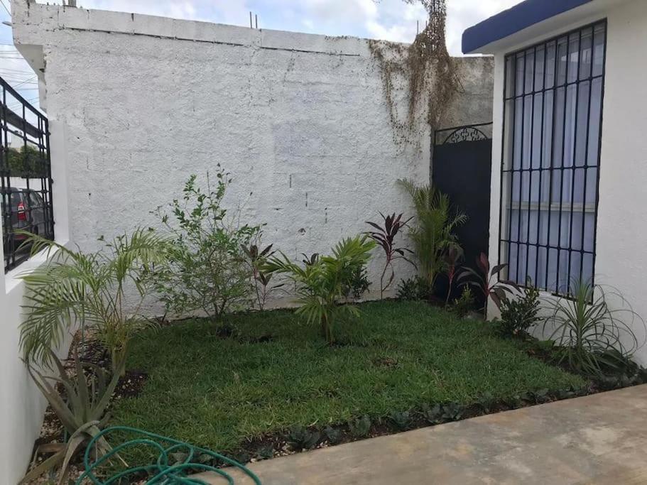 Casa Nona Blanca, Independencia Y Tranquilidad Сasa de vacaciones *