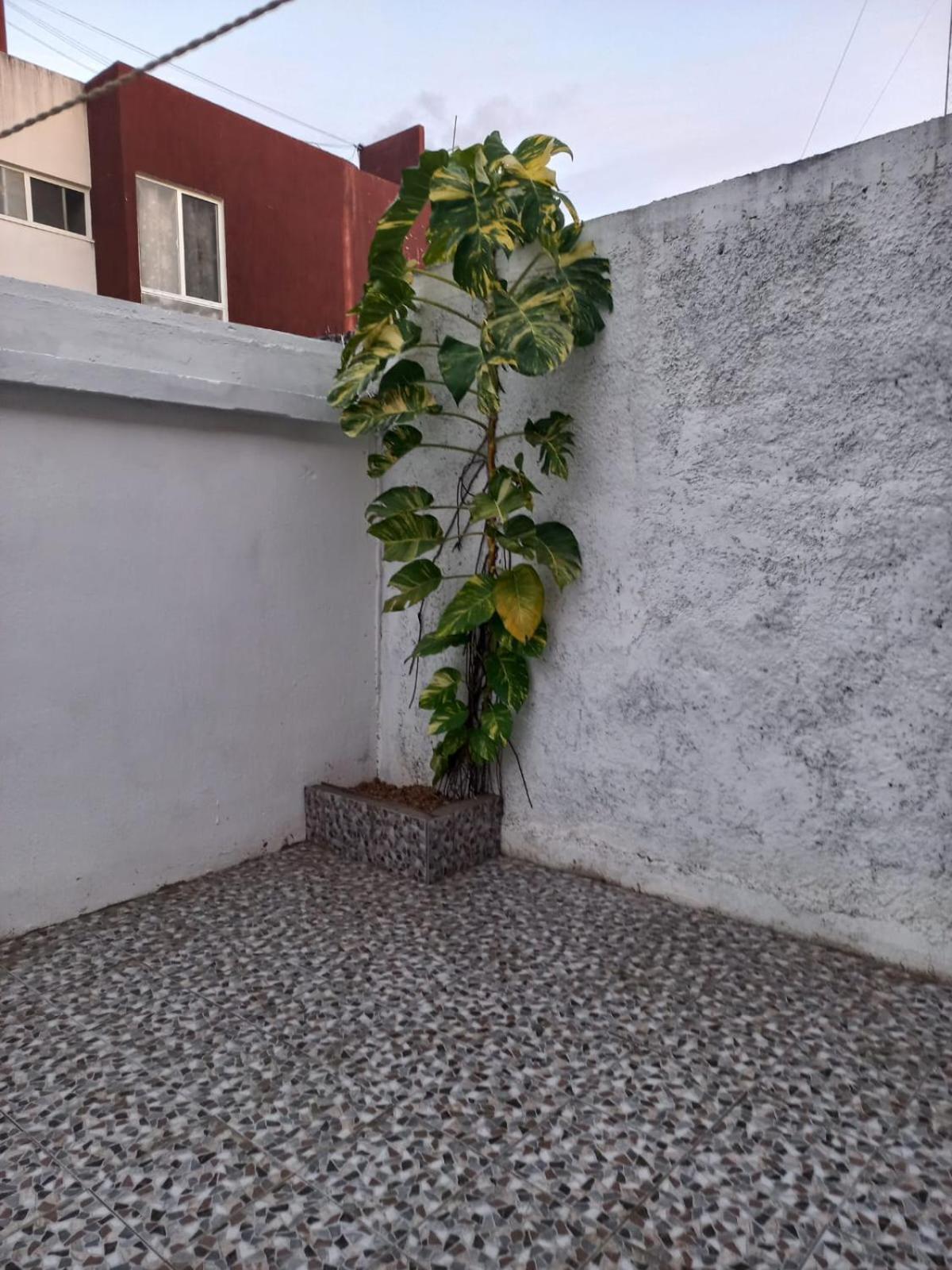 Casa Niza * Cancún