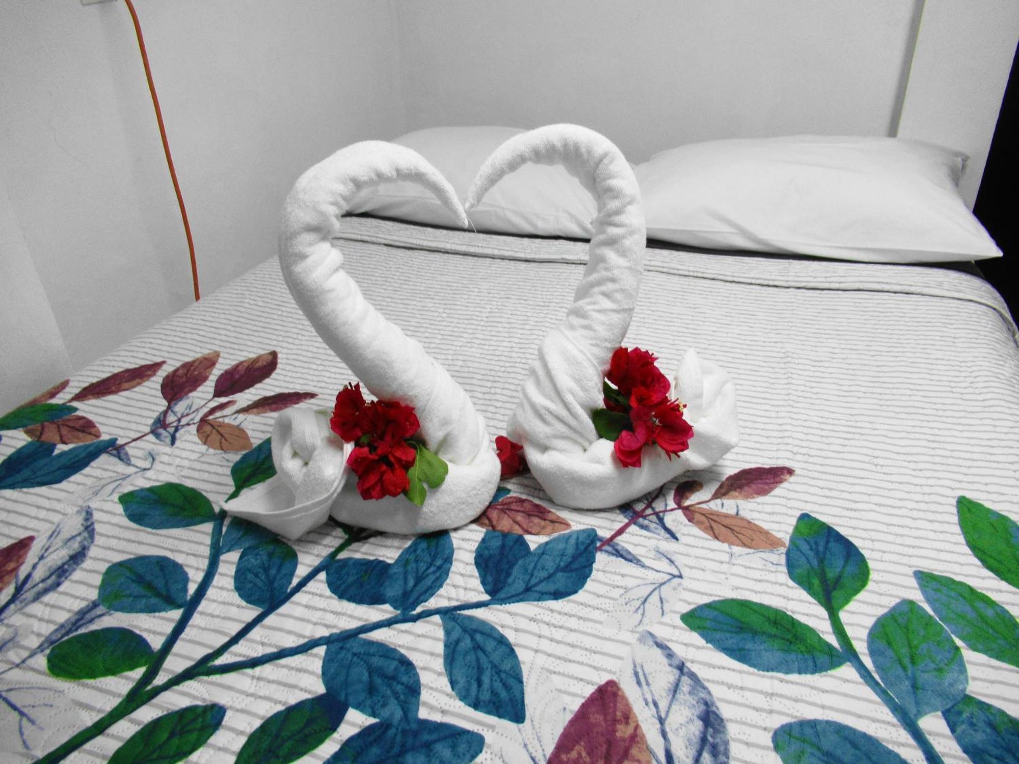 Cocos Apartamento *
