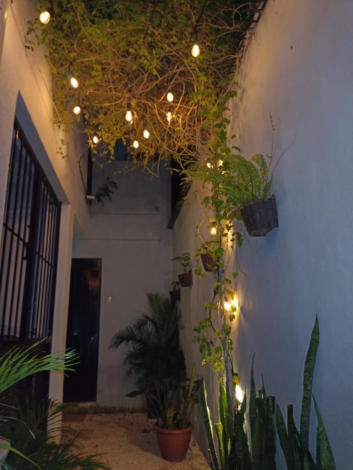 Departamento # 2 Maracuyá, Te Espera *