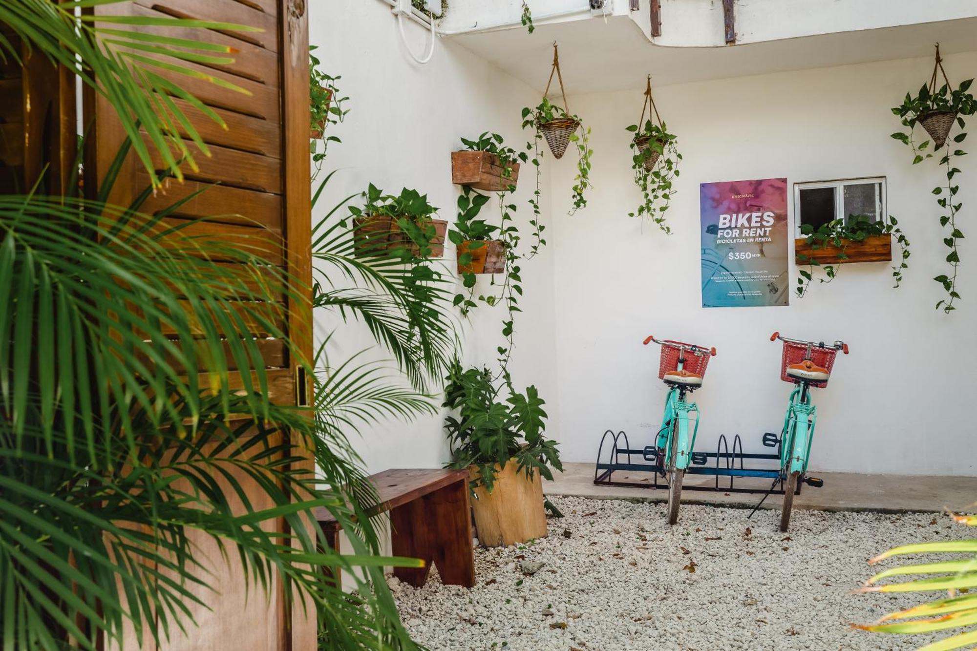 Enigmatic Experience 4* Cancún