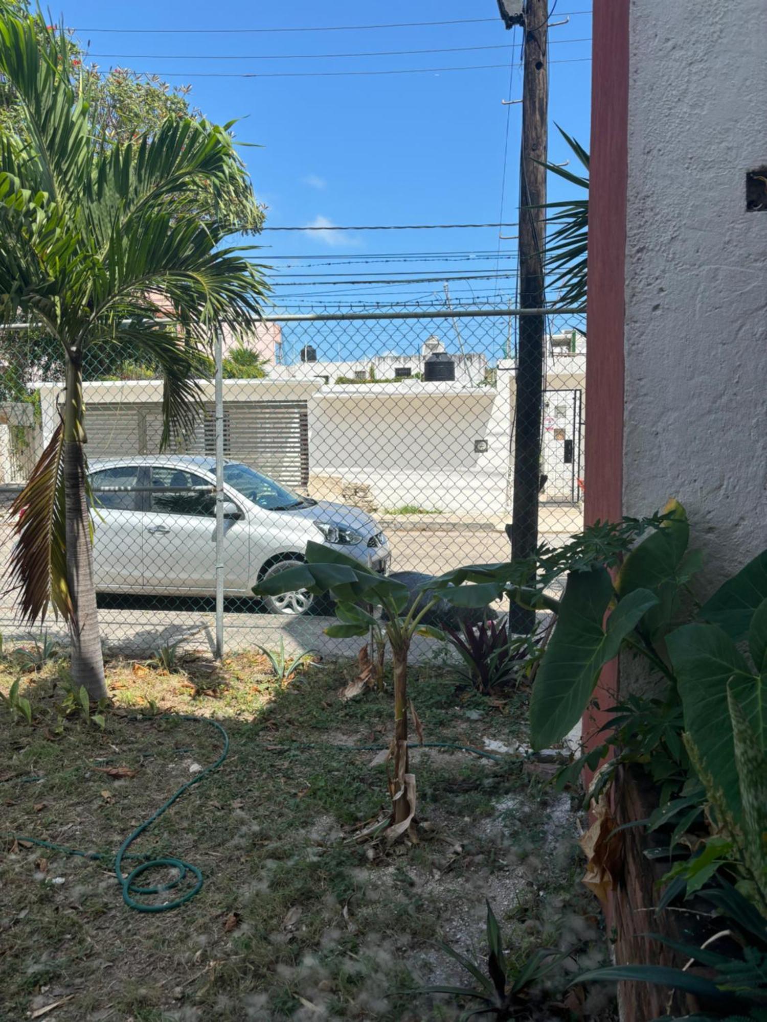 Calle Venado Centro