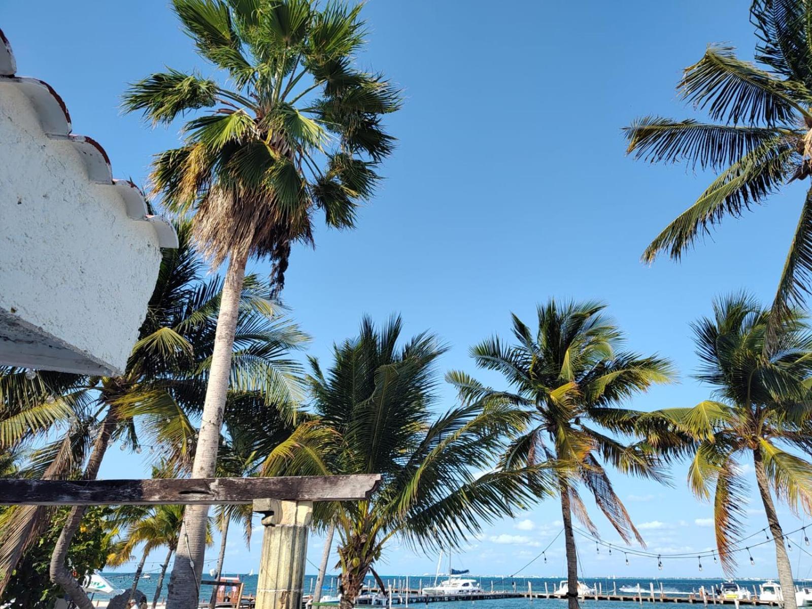 On The Surfers Sunrise Haven 3 Apartamento Cancún