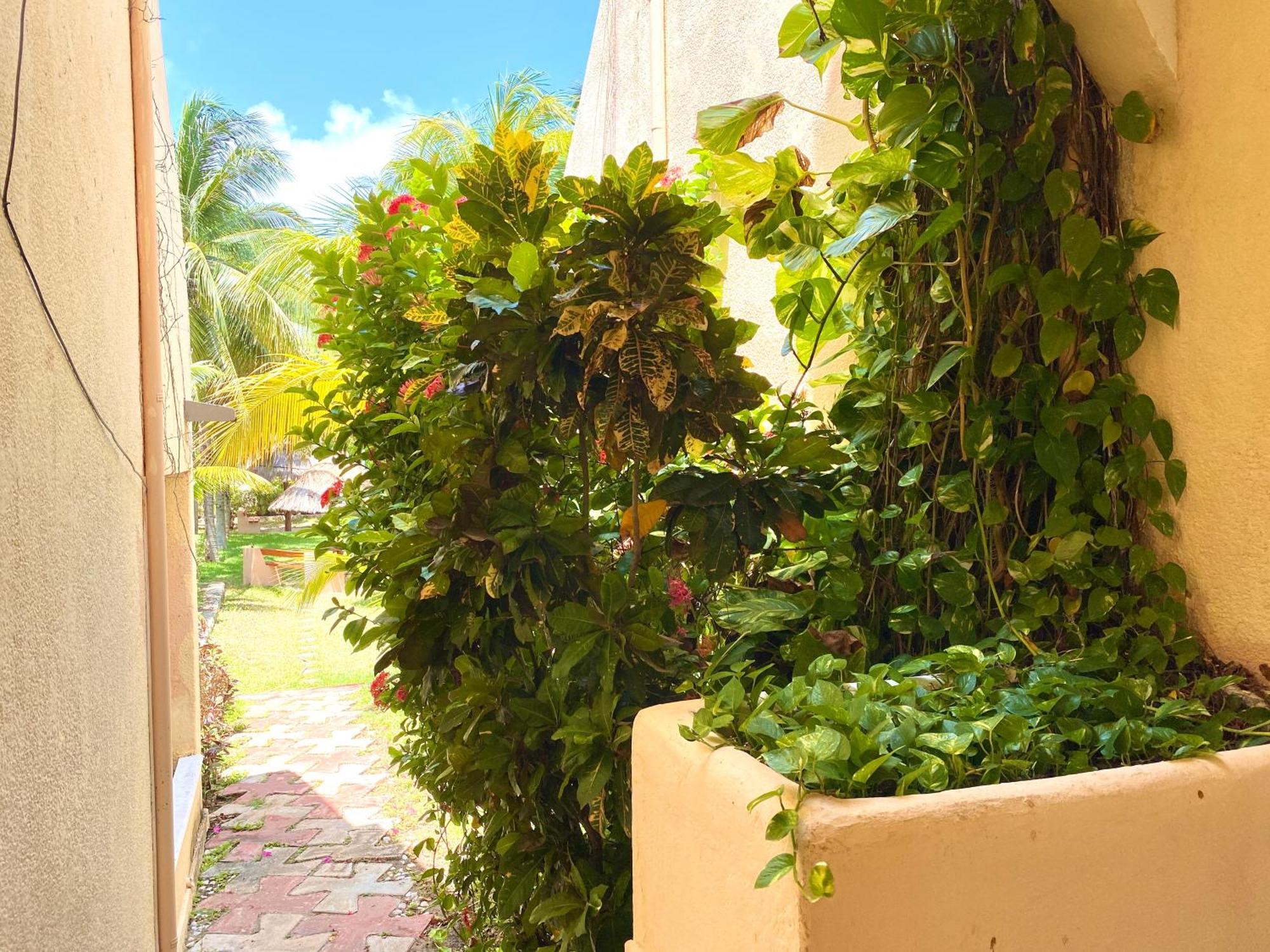 Tropical By Andiani Apartamento